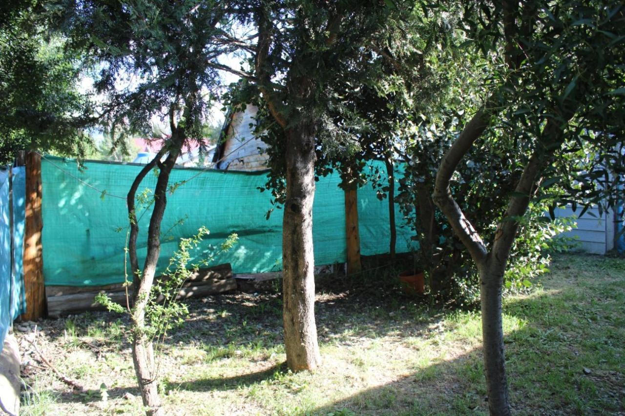Choique San Carlos de Bariloche
